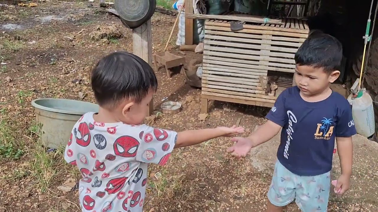 KE RUMAH KEBUN NENEK MAKAN RAMBUTAN DAN KASIH MAKAN AYAM | RUMAH KEBUN BONE