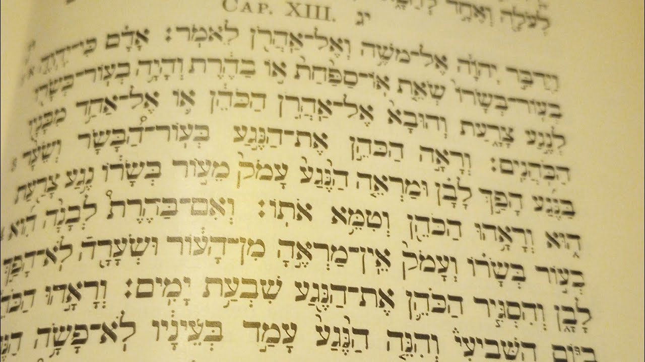 Leviticus Chapter 19