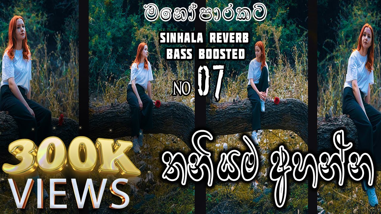 (මනෝපාරකට) 07 ලස්සන ගීත එක දිගට අහන්න Sad Songs #sinhalareverb #sinhalaremix #sinhalabassboosted