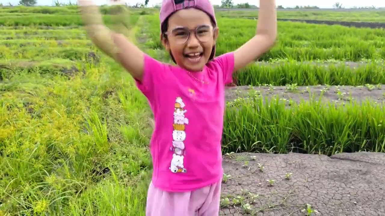  Petualangan Seru Mencari Telur Burung Puyuh di Sawah