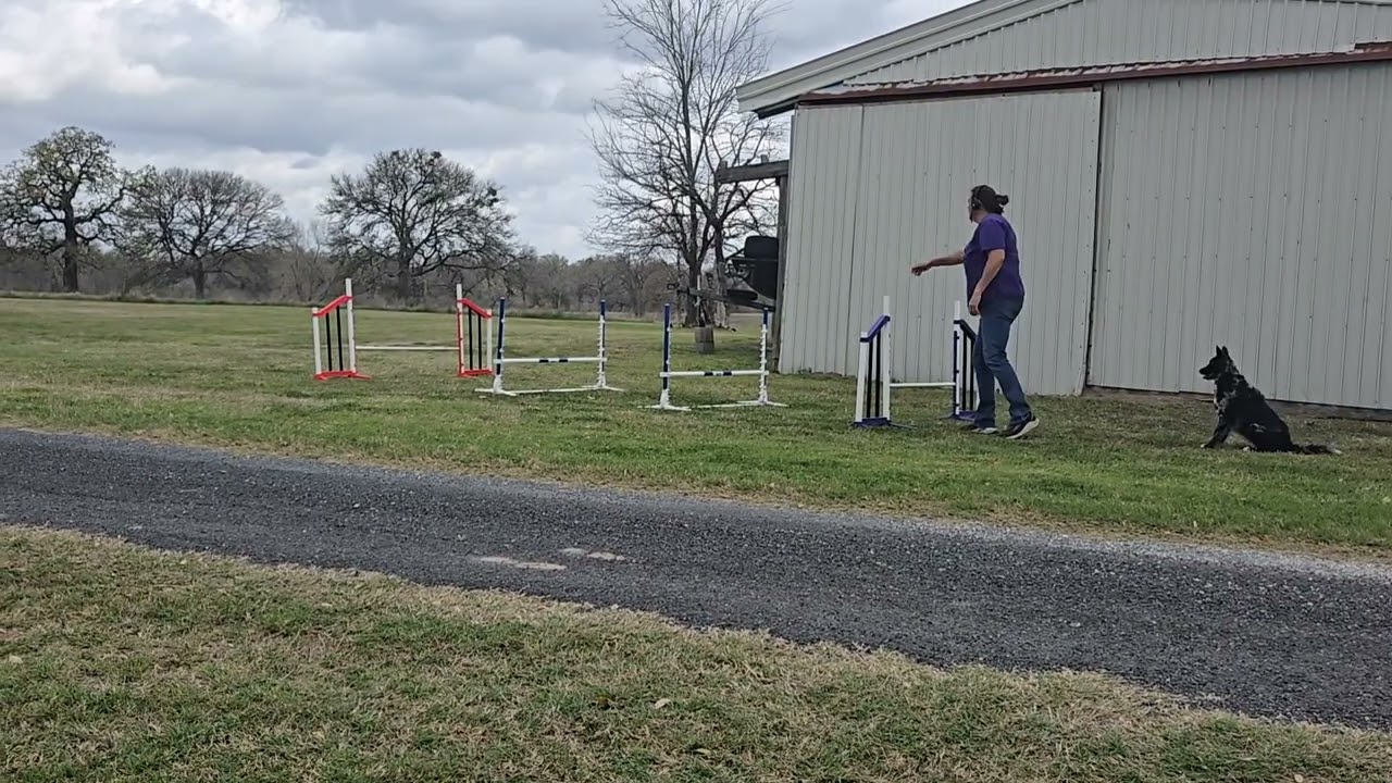 Collection 6 feet, bars at 12