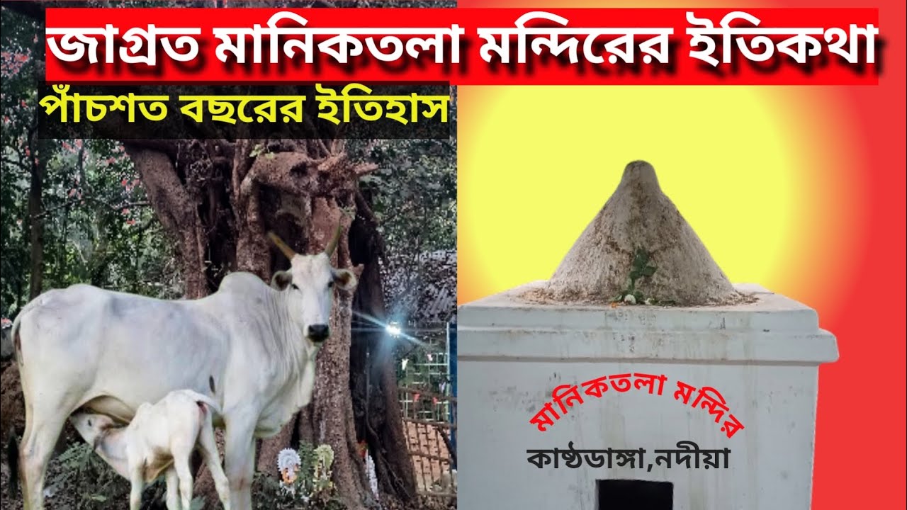 জাগ্রত মানিকতলা মন্দিরের ইতিকথা #trending #viral #tempel #bengolivlog #haritage #foryou #viralvideo 