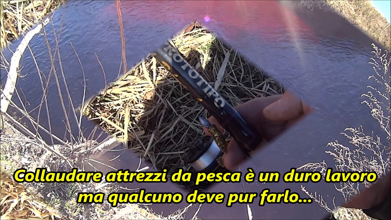 Nascita di una telegomming