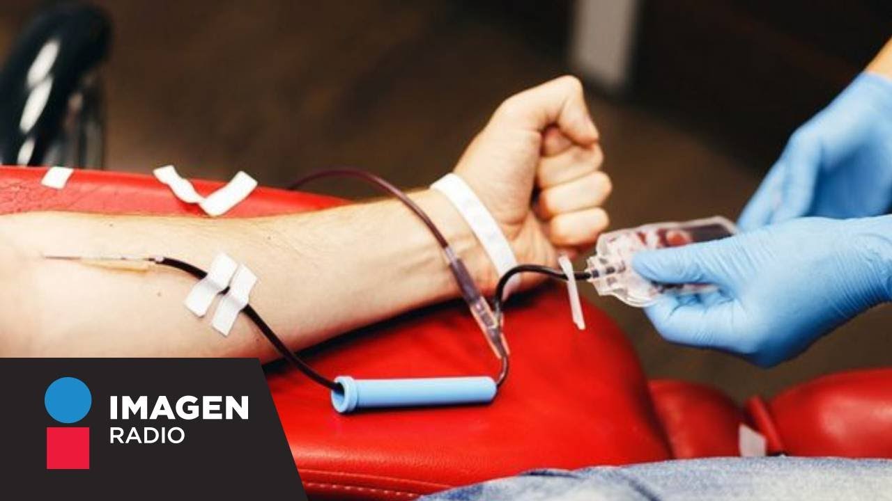 ¿Cuáles son los requisitos para donar sangre?