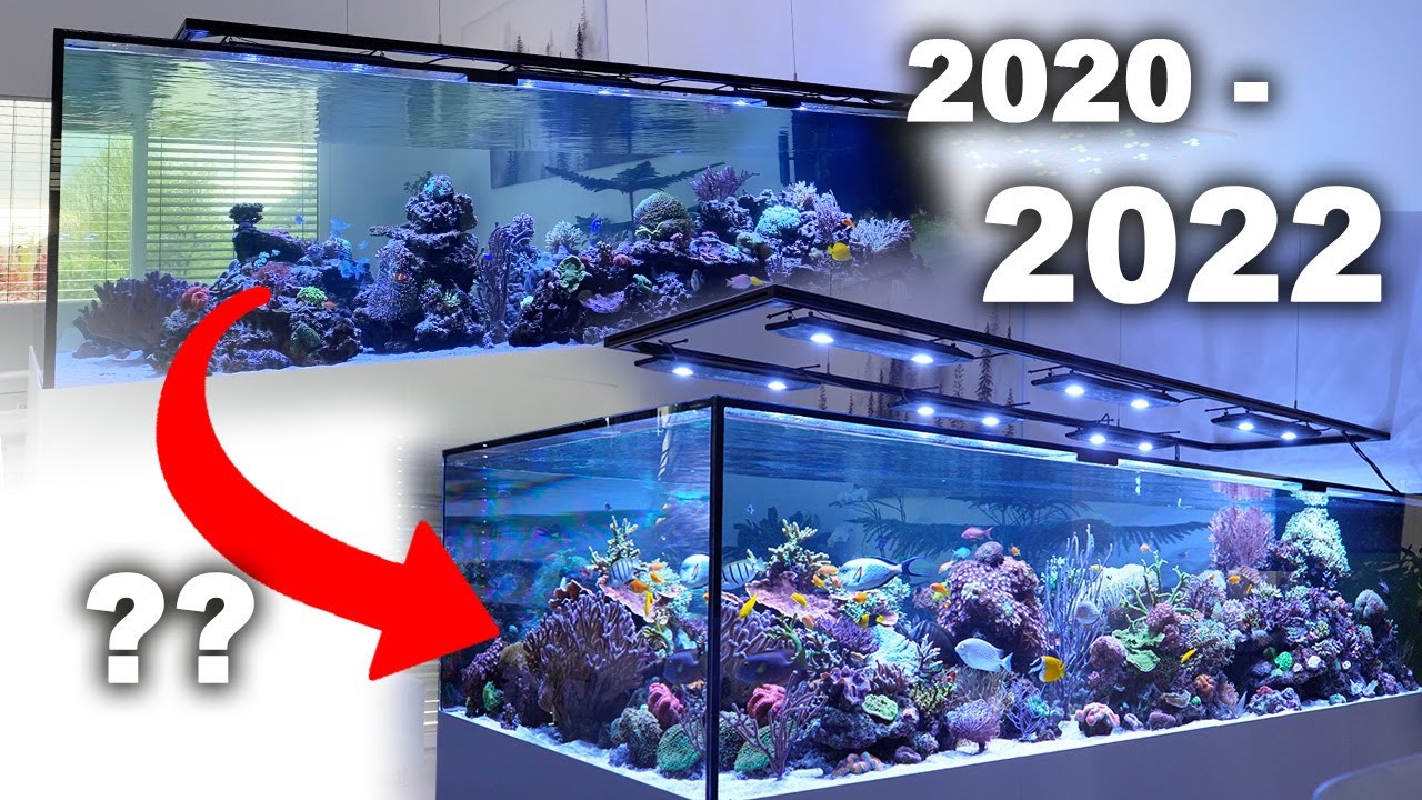 German Reef Tanks - Аквариум с коралловым рифом объемом 3000 ЛИТРОВ «Что случилось за 2 года??»
