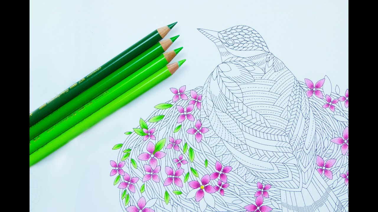 How to colour in leaves with colouring pencils ⎮ Colour pencil blending