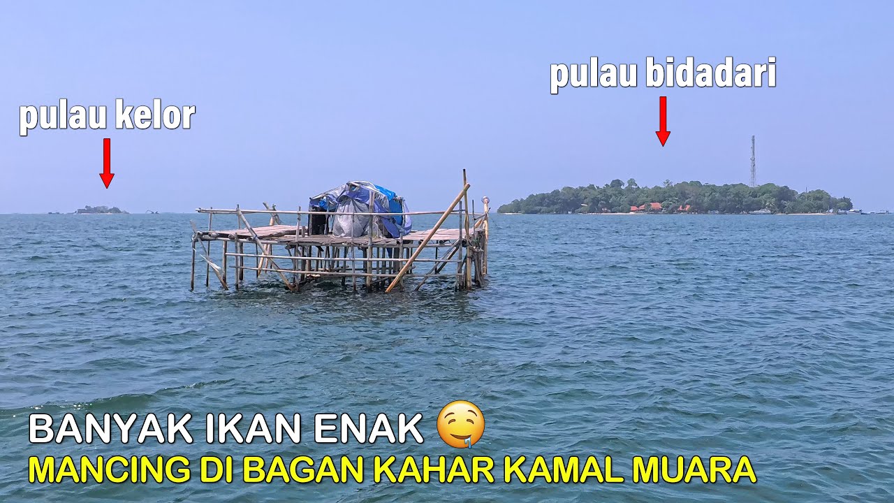 Rangkaian SEJUTA UMAT Auto Strike‼️Mancing Ikan Di Bagan Kahar Kamal Muara || Mancing Gaes