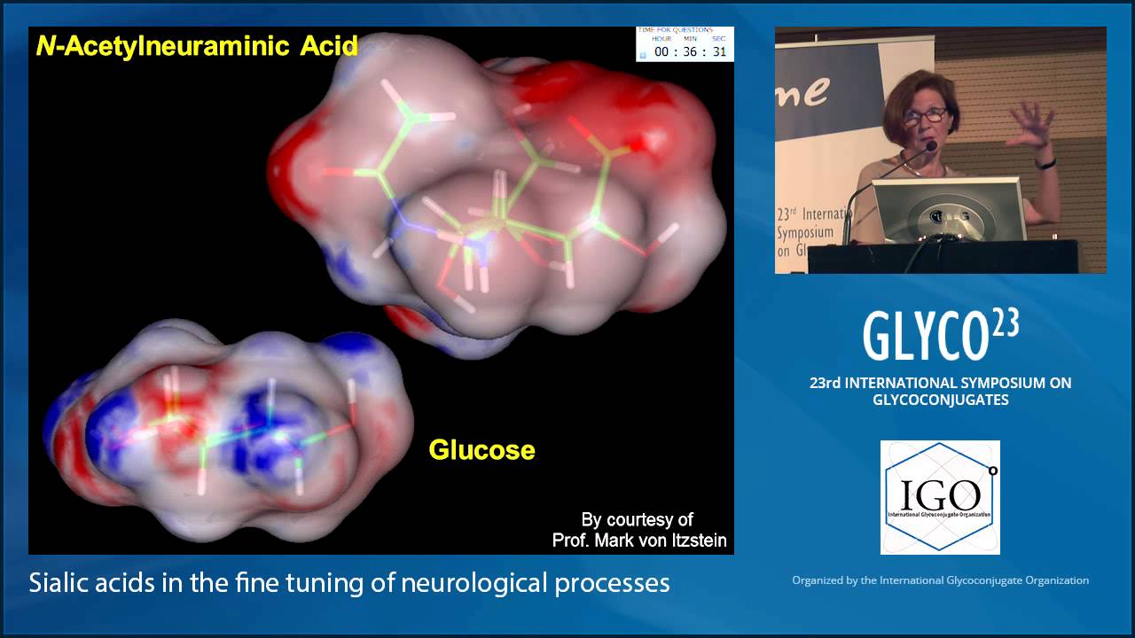 Sialic Acids in the Fine Tuning of Neurological Processes: Rita Gerardy-Schahn