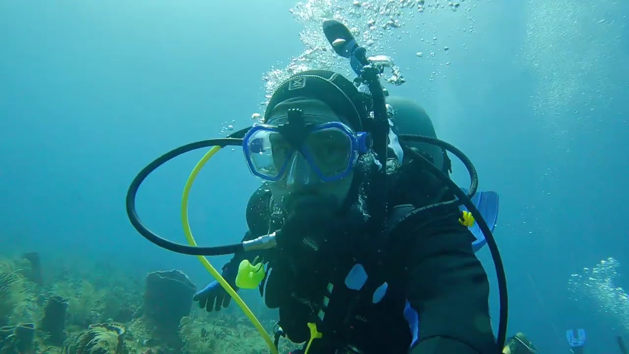 65 Feet Down | Finding Healing Through Blue Therapy 🌊💙
