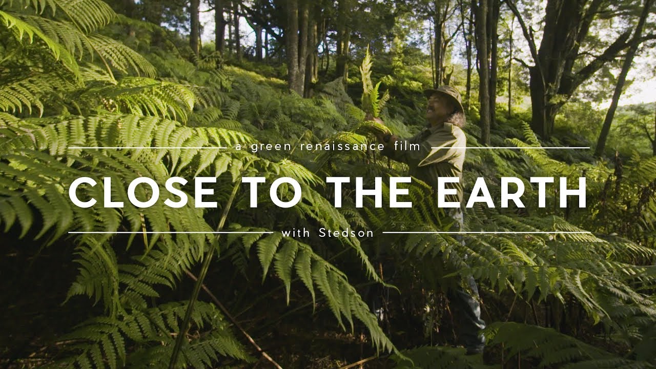 St. Helena's Plant Savior: Bringing Species Back From Extinction