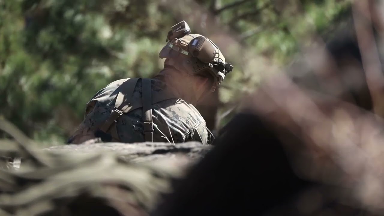 2/5 Marines, French 27th Mountain Infantry Brigade conduct simulated cliff assault during MTX 1-24