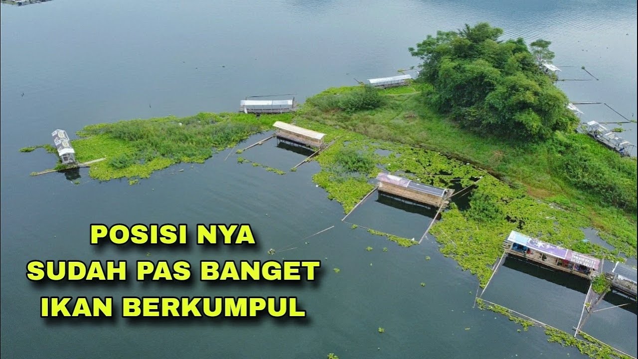 Pantau Spot Mancing gacor dari Udara - POSISINYA SUDAH PASS - Mancing Liar Jatiluhur Terbaru