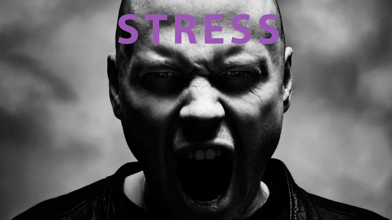 A Very Short Introduction to Stress
