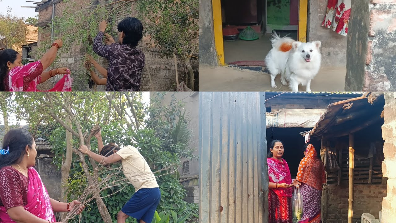 আজকে কোথা থেকে প্রথম শুরু করলাম? 😶