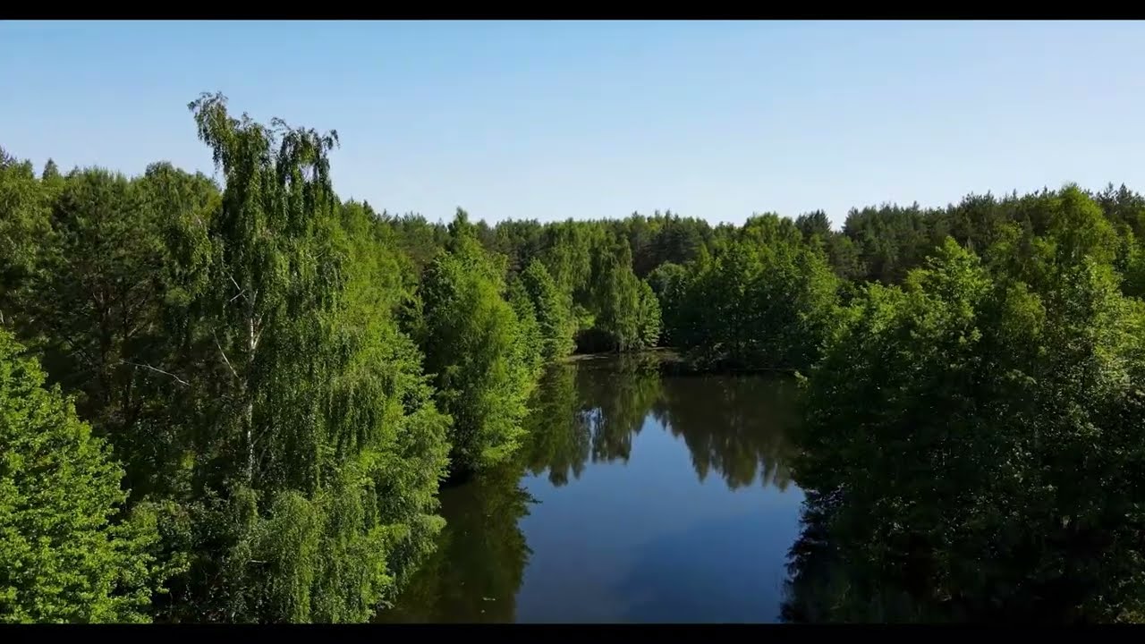 Relaxing music with bird singing by Peacing mind...|..@timjanis@SoothingRelaxation