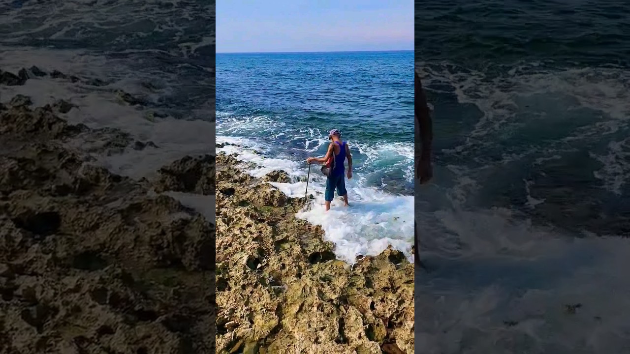 Sacando Ciguas del diente perro en Playa de Santa Fé Cuba 