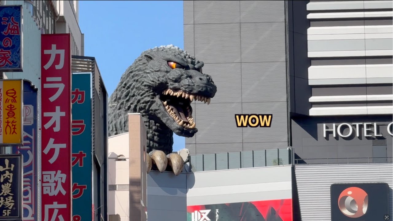 I love Japan | EP 14: Tokyo Shopping & Sites