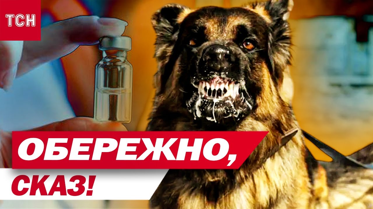 ЗАХВОРЮВАНІСТЬ НА СКАЗ ЗРОСТАЄ! На Волині ПРИДУМАЛИ, як боротися зі СМЕРТЕЛЬНОЮ ХВОРОБОЮ!