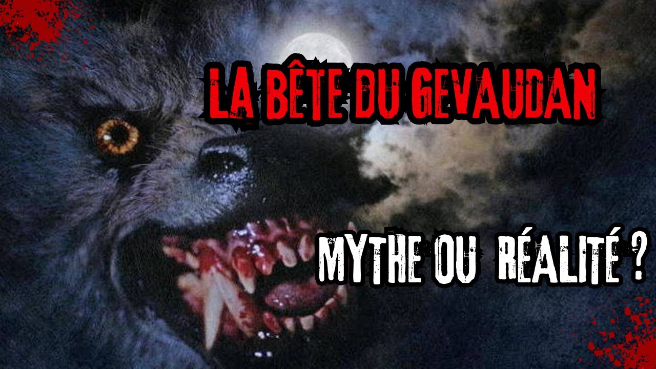 ELLE DÉCAPITE, MUTILE ET DÉVORE LES HABITANTS D'UNE RÉGION ISOLÉE - LA BÊTE DU GÉVAUDAN