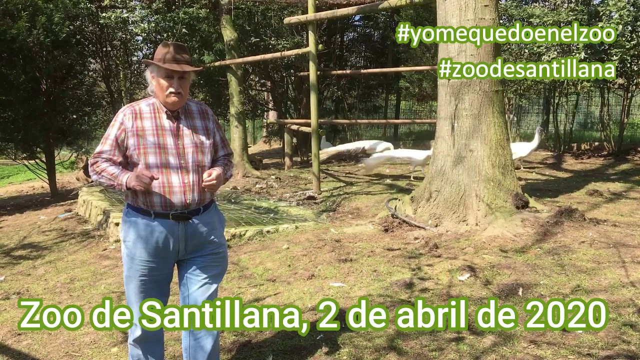 Viviendo en un Zoo