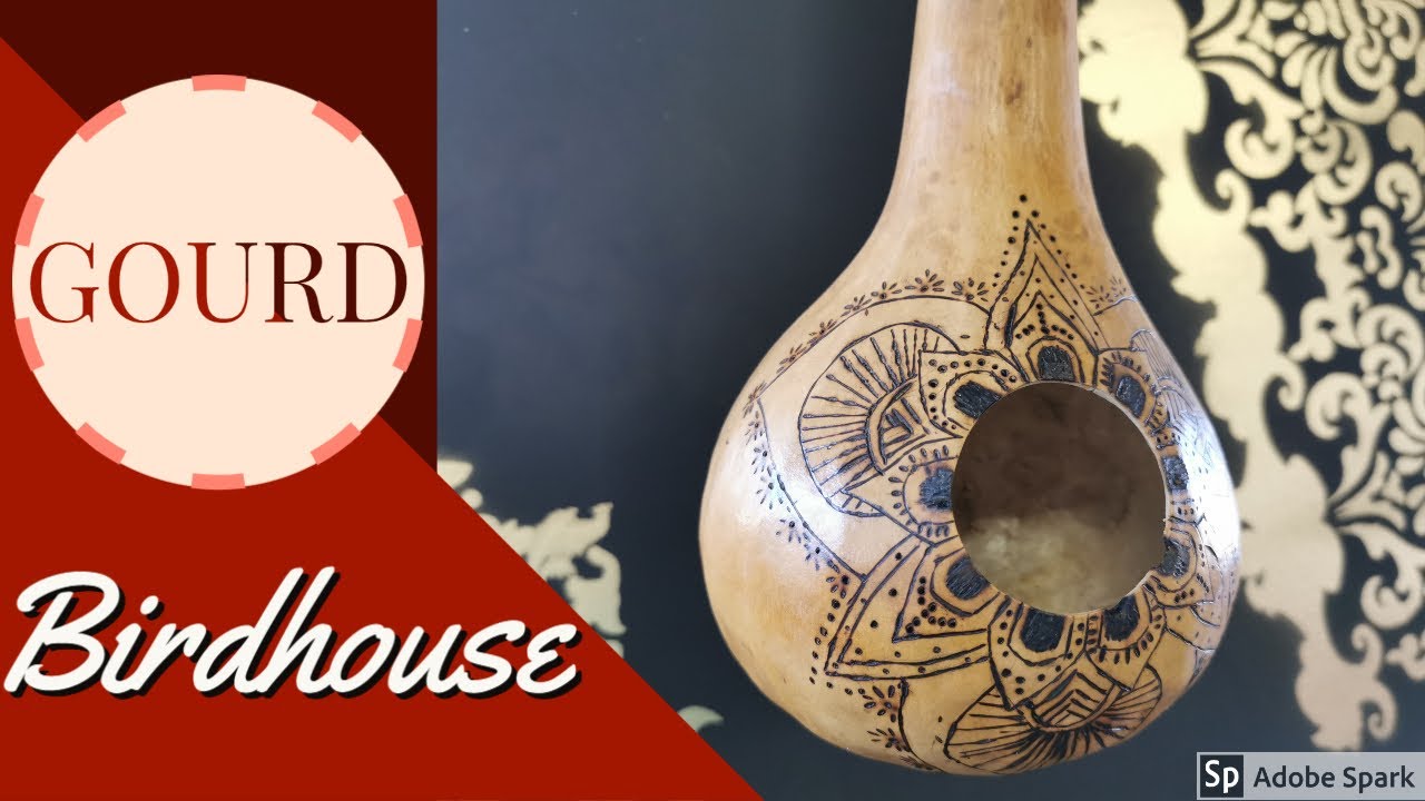 How to make a birdhouse using a Gourd