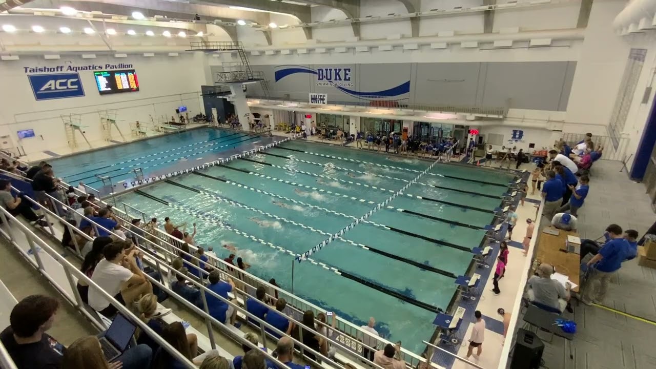 Duke W 100 Free