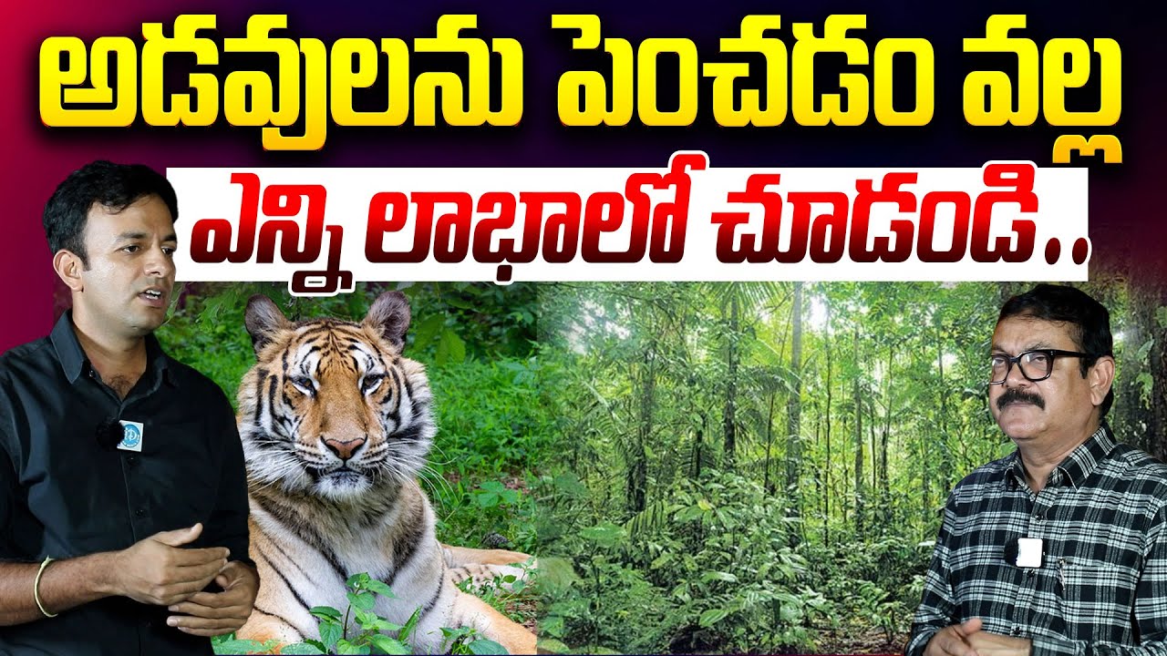 అడవులను పెంచడం వల్ల ఎన్ని లాభాలో చూడండి | Anand Reddy, IFS D.F.O. About Tigers | i Dream