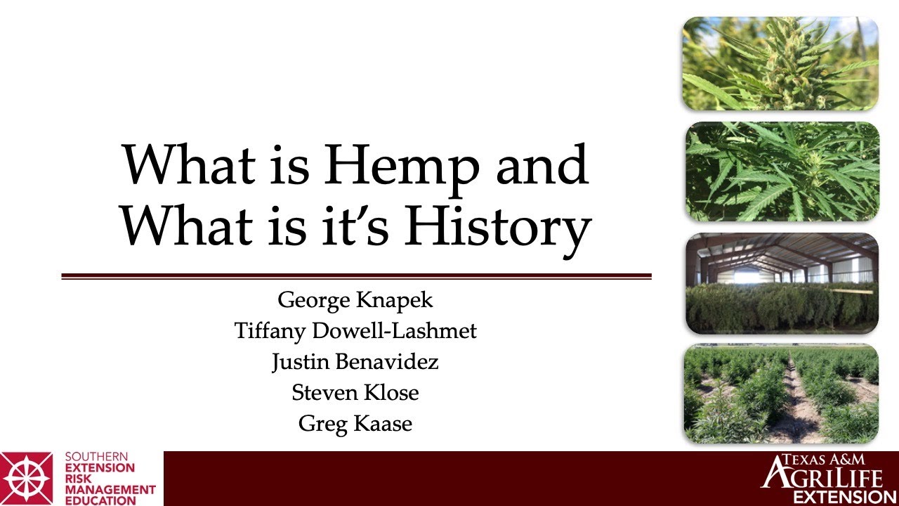 What is Hemp and What is its History - George Knapek