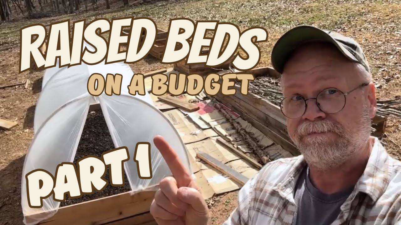 How I made a raised bed garden on a budget
