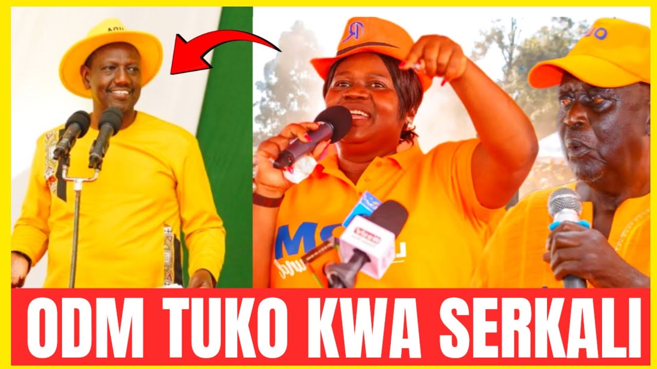 ODM TUKO KWA SERKALI!!GLDYS WANGA SAYS