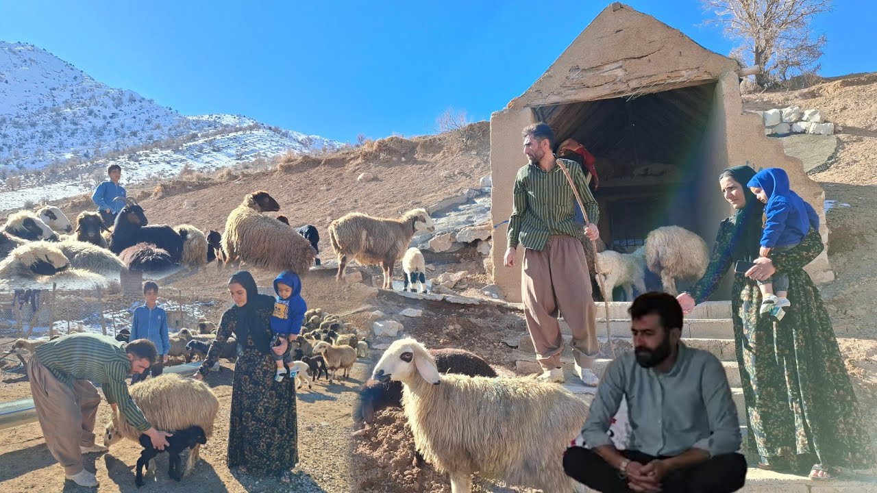 Fatima's Attempt to Build a Shelter: Conflict with Her Fiancé's Family😱😭