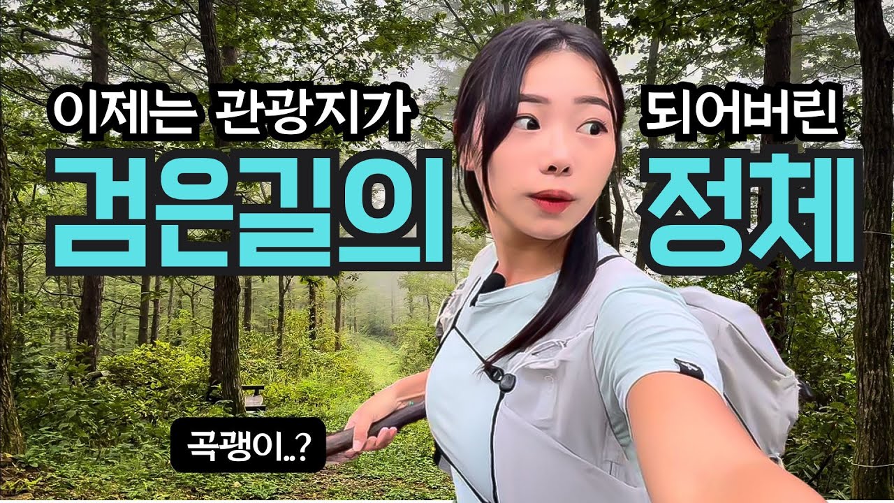 1년에 7개월만 개방되는 운탄고도 5코스ㅣ걸을 때마다 가슴이 벅차오르는 인생 최고 트레킹 코스