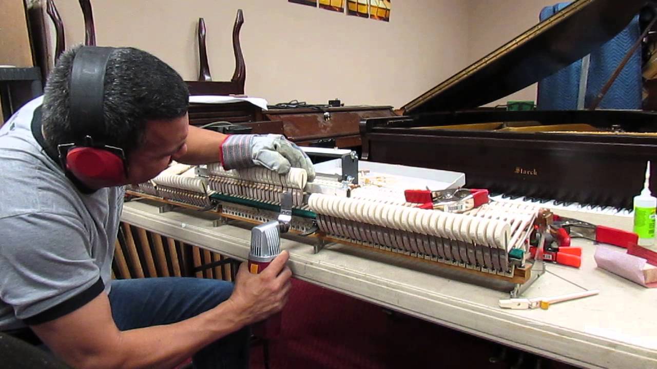 Piano Technology = La Tecnología del Piano(Eliminando el exceso de Mástil, Brazo o Shank)
