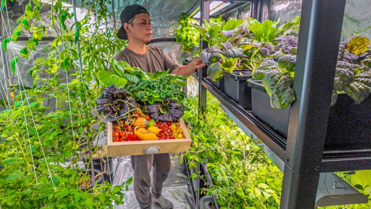 🌱 365 Days of Growing - Even in Canadian Winters! 🇨🇦