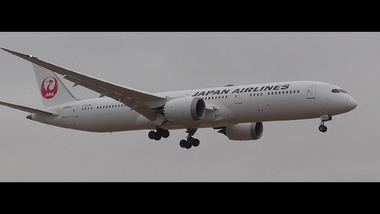 Dreamliner Action! Boeing 787 Touchdowns and Takeoffs at LAX!