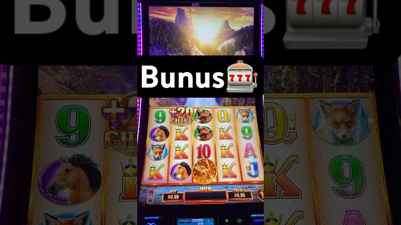 Low bet bonus #casino