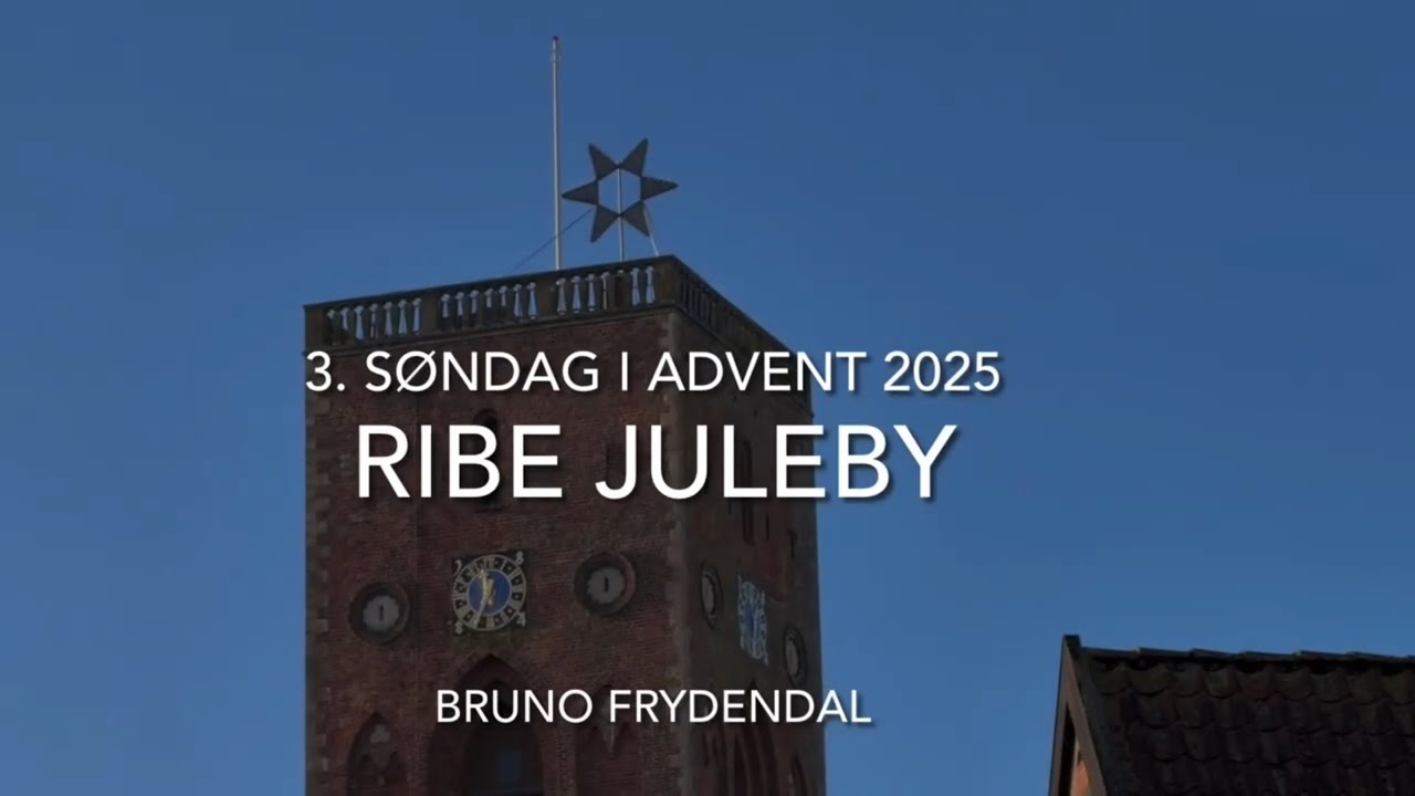 Ribe Juleby 2025