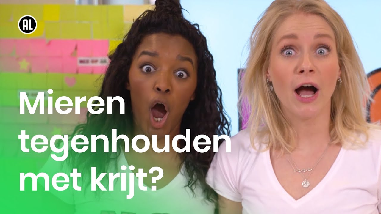 Kun je mieren tegenhouden door een krijtstreepje op de grond te tekenen? | NOJ