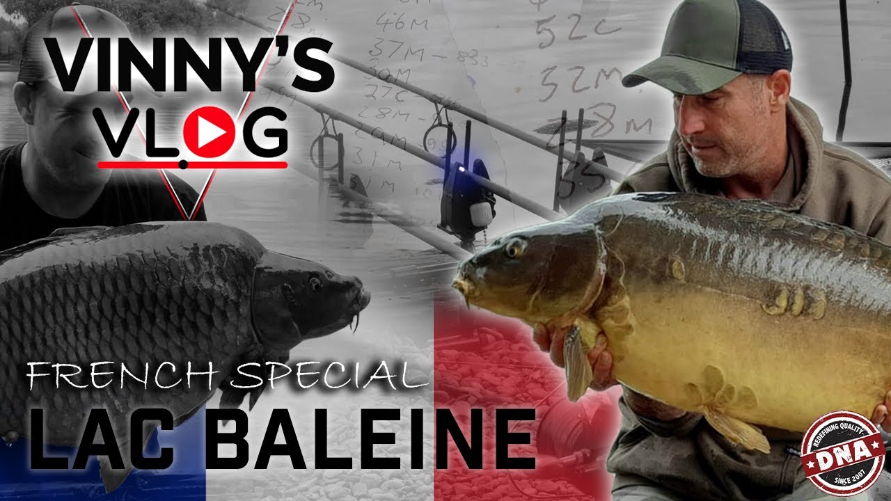 ***HAULING IN FRANCE!*** VINNY'S VLOG | DNA BAITS | LAC BALEINE | CARP FISHING