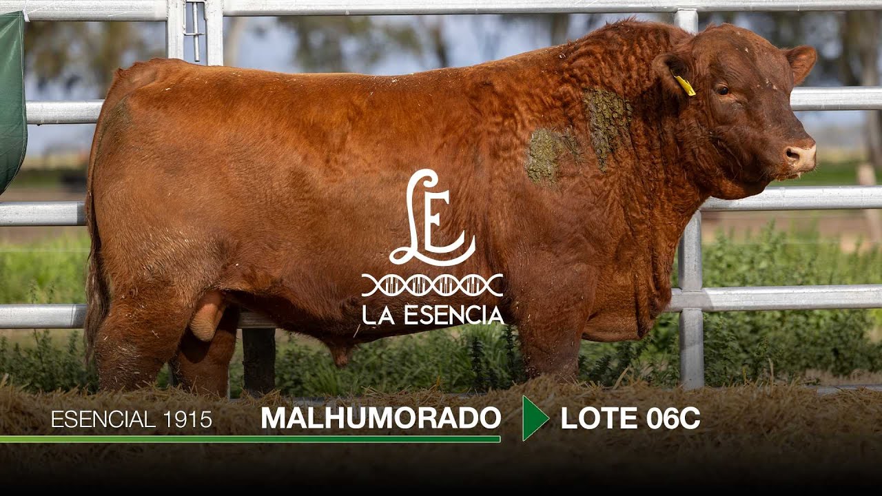 Remate La Carablanca, Lote 06C