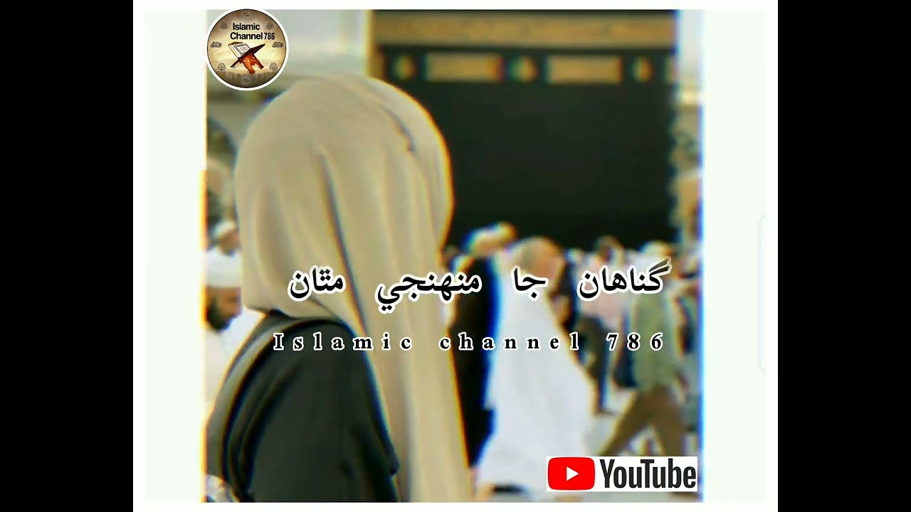 مدني جي سائين منهنجا 💜💜💜سندي نات