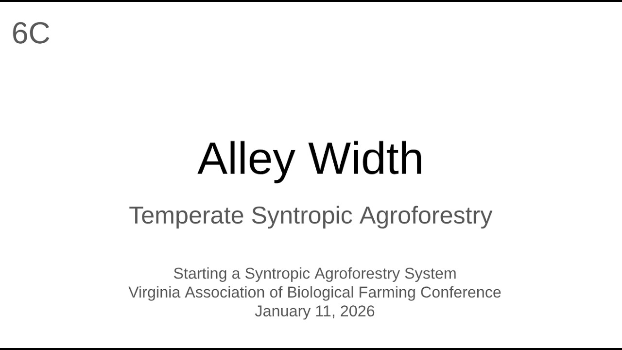 6C Alley Width - Temperate Syntropic Agroforestry