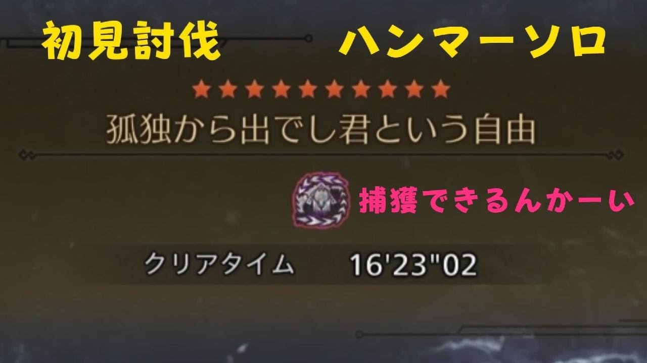 歴戦王アルシュベルト　初見討伐　ハンマーソロ　16'23''02