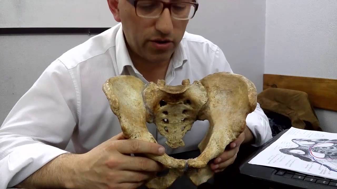 05   Pelvis en General 1