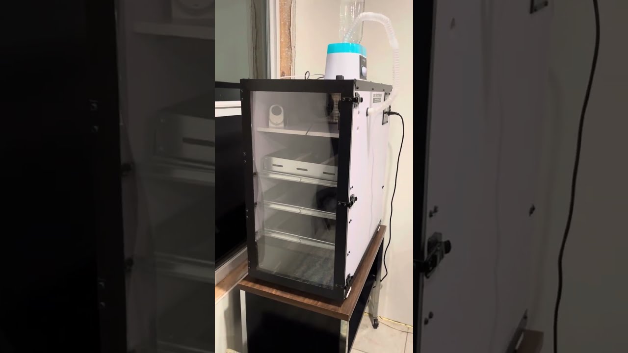 The 1st Emu Eggs Go Into the Incubator - 2023/24 Season