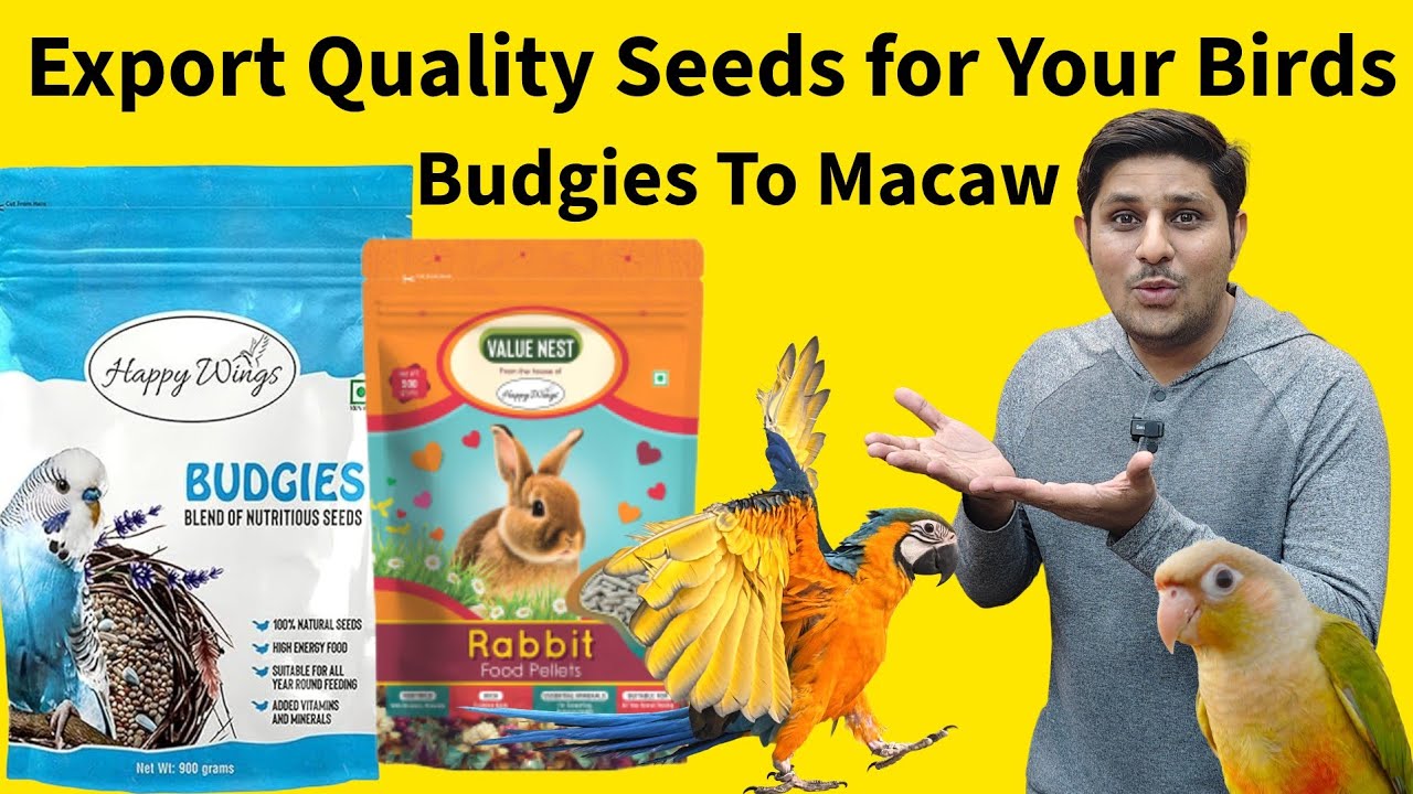 Best Export Quality Seeds for Parrot & Sparrow | Happy Wings Niger Seeds, Sunflower & Mix Seeds