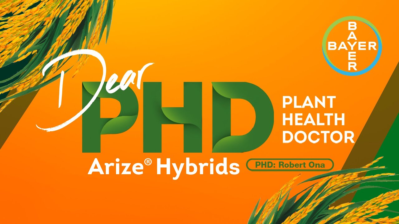 Dear PHD Ep. 5 | Arize&reg; Hybrids
