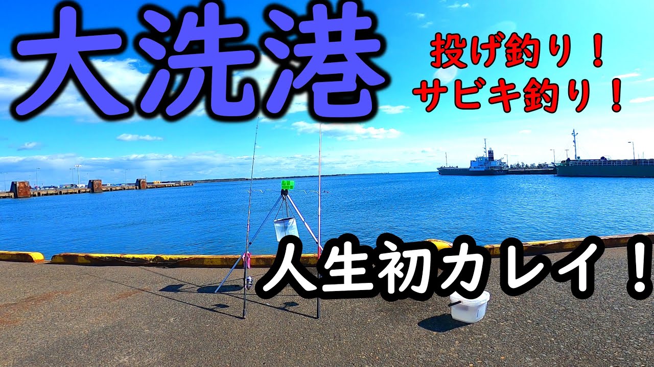 【大洗港】ちょい投げで人生初カレイ！【海釣り】
