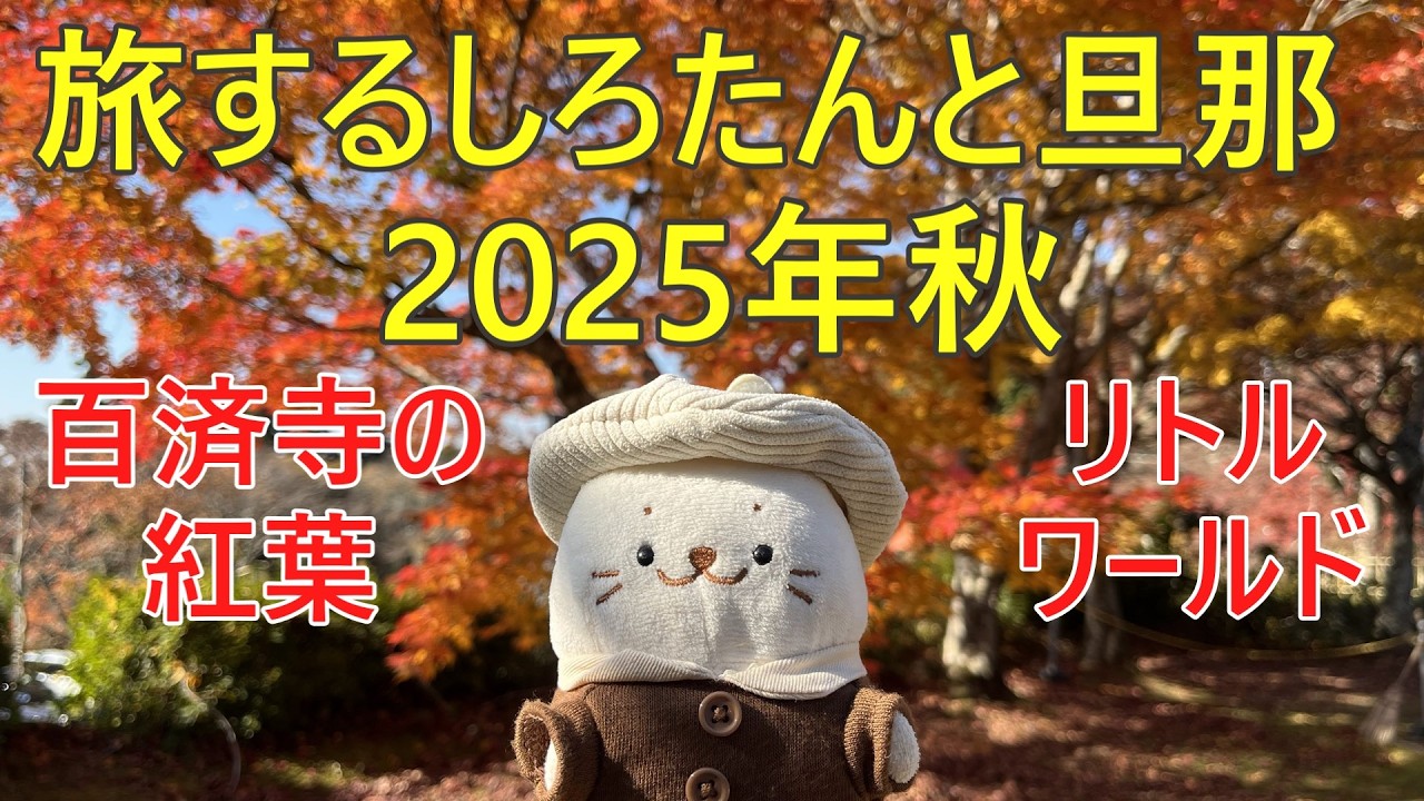 旅するしろたんと旦那と奥さんの秋。キャンプと紅葉とリトルワールド