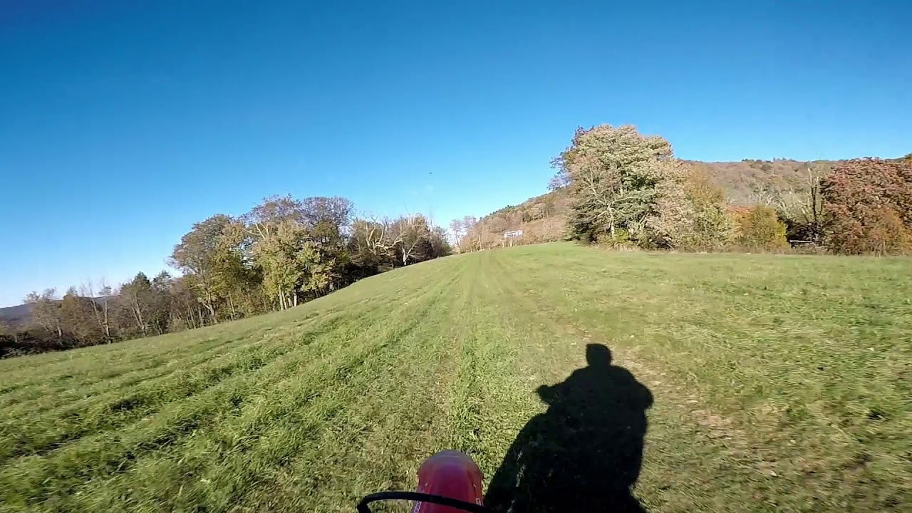 Honda CRF230f Review after 2 Years + Motovlog